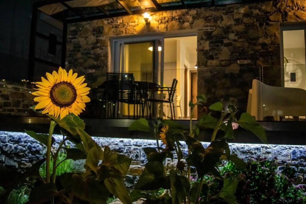 Appartement Istron Avra à Kalo Chorio  Extérieur photo